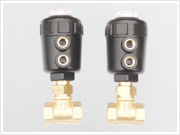 Brass Angle seat Valves