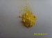 China Pigment Yellow 151 for auto paints / coating supplier