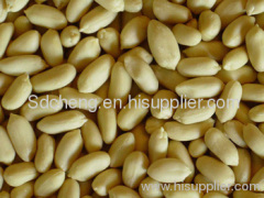 raw peanuts, blanched peanuts