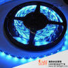 SMD3528 IP65 epoxy waterproof 30leds blue led strip