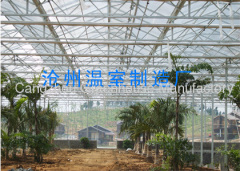 Polycarbonate Sheet Greenhouse