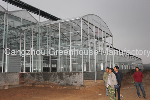 Glass Greenhouse