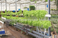 China Glass Greenhouse