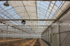 Double-layer Air-inflated Film Greenhouse