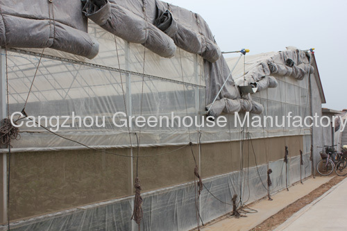 china Double-layer Air-inflated Film Greenhouse