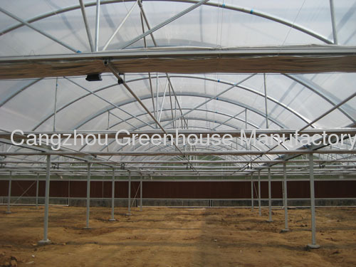 Double-layer Air-inflated Film Greenhouse