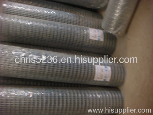 Hot dip galvanzied and electric galvanzied welded wire mesh