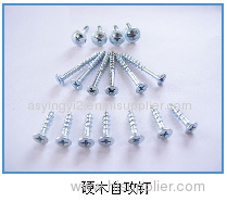 Produce & Sale Kinds of screw