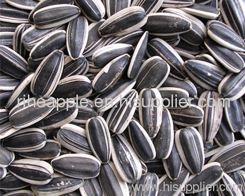 seeds sunflower seeds