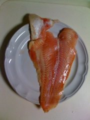 pangasius fillets