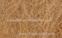 Coir Fiber