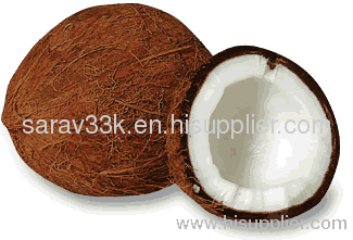 Mature Coconut