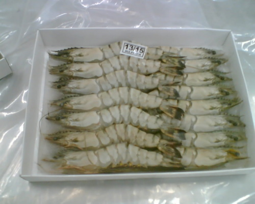 tiger shrimps tuna loins sea cucumbers
