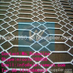 Expanded Metal Mesh/Perforated Wire Mesh