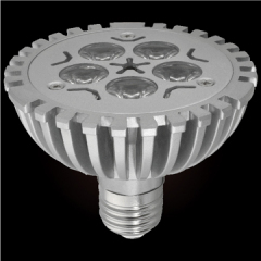 Energy-Saving LED Spot (Ray-YZ01W5)