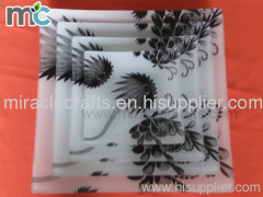 Tempered glass plate