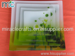 Tempered glass plate