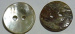 shell buttons