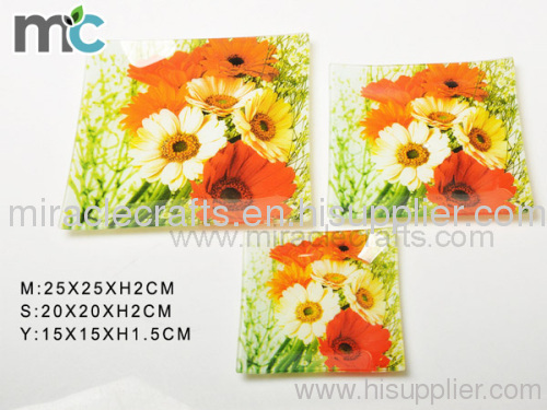 Tempered glass plate