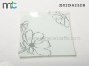 Tempered glass plate