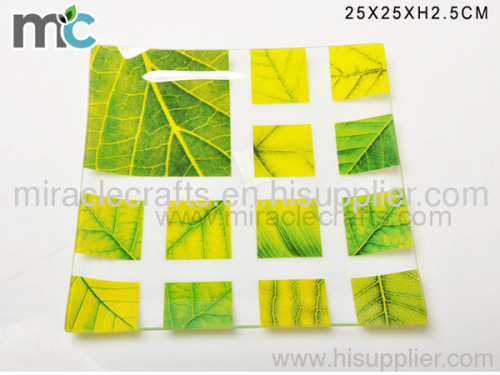 Tempered glass plate