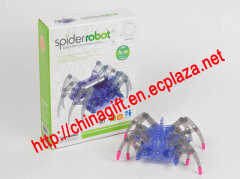 Spider Robot