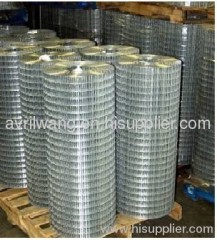 galvanized welded wire mesh panel/roll