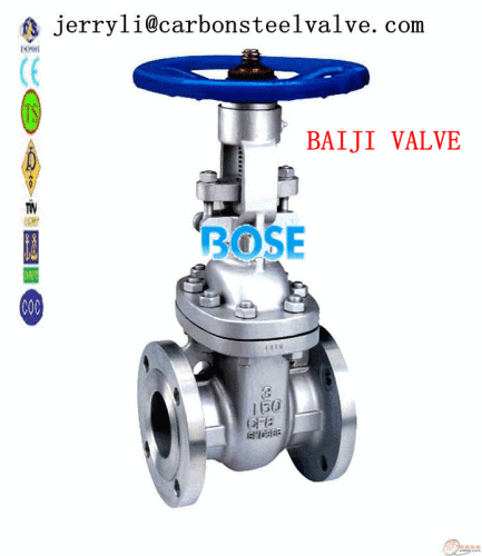 API SS304 FLANGED GATE VALVE RF RTJ