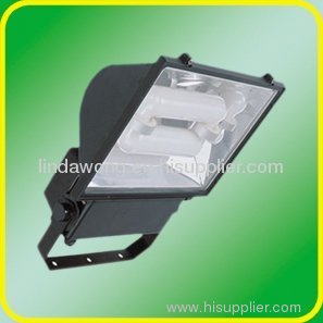 LVD electrodeless induction flood light