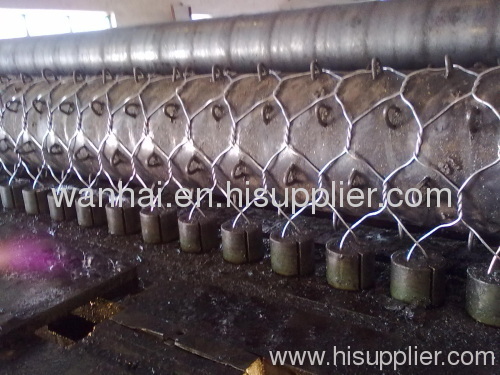 triple twist weave hexagonal wire netting