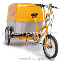 Electric cargo trike