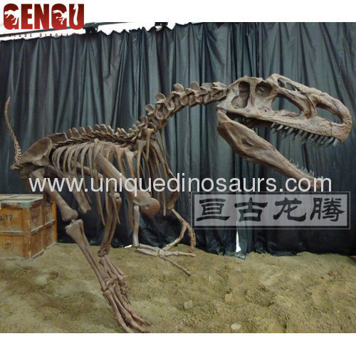 Artificial Dinosaur skeleton model