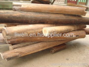 Old fir wood