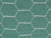 Stainless Steel Chicken Wire