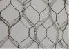 Galvanized Chicken Wire