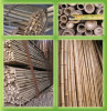 raw bamboo