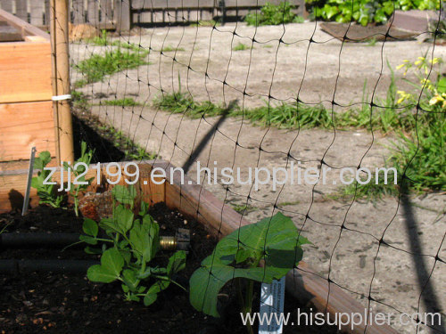 Plant Support nets