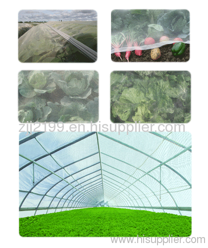 Agriculture insect netting anti aphid net