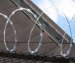 Concertina Cross razor wire