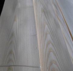 American white ash veneer