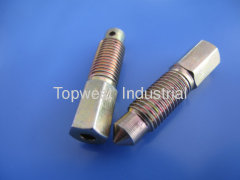 Bleeder screw