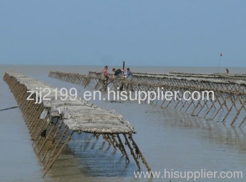 Oyster mesh bag Oyster mesh netting