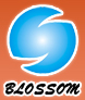 Ningbo Yinzhou Blossom Co.,Ltd.