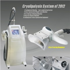 Cryolipolysis system Beauty Equipment