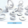 TBSF4 Ceramic Seal Ring