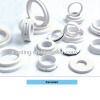 TBSF4 Ceramic Seal Ring