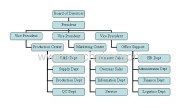 Organization structure