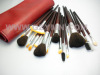 Professional brush set