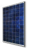 230W POLY SOLAR MODULE