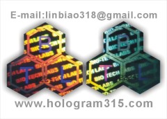 3D stereogram hologram